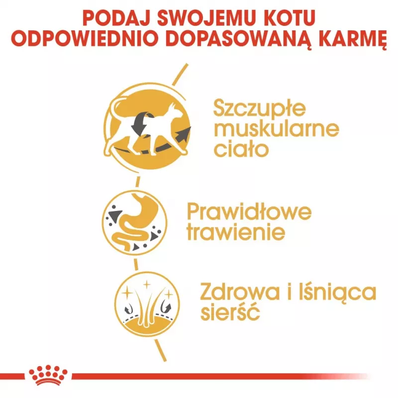 Sucha karma dla kota Royal Canin Siamese 2 kg — Dorosły, Drób, Białko 38%, Tłuszcz 16%
