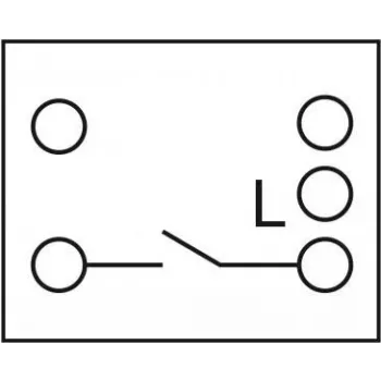 Delock - Easy 45 - Druckschalter - 1 Kippschalter - 10 A - AC 250 V - Biały, RAL 9003 (81359)