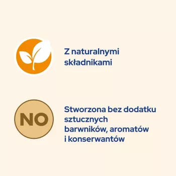 PURINA Cat Chow Jagnięcina, Zielona Fasolka - mokra karma dla kota - 10x85 g