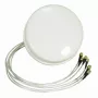 ALLNET antena 2,4/5 GHz 4dBi DualBand Spatial Diversity MIMO antena sufitowa HG2458-4SDC-RSP