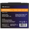 Qoltec 53702 Akumulator litowo-żelazowo-fosforanowy LiFePO4 | 12,8V | 24Ah | 307,2Wh | BMS
