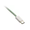 Kabel USB Ducky Premicord 1,8 m USB A USB C Niebieski Zielony