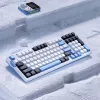 VGN V98 Pro Gaming klawiatura, Arctic Fox - edycja limitowana (US)