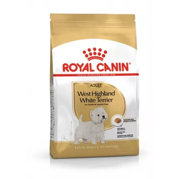 Royal Canin BHN West Highland Biały Terrier Adult - sucha karma dla dorosłych psów - 3 kg