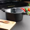 Garnek Russell Hobbs RH01864EU7 24 cm Crystaltech