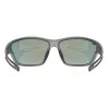 Uvex okulary sportowe Unisex Full rim Szare Uvex 5330872213
