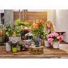 Wąż Gardena AquaBloom 20m Czarny 13301-20