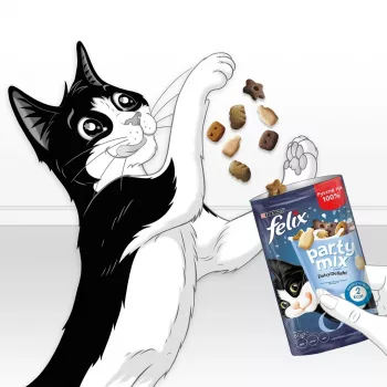 Przysmaki dla kota Felix Party Mix Dairy Delight 60 g — chrupiące przekąski o smaku mleka dla dorosłych kotów, białko 35% tłuszcz 19,5%