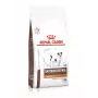Sucha karma dla psa Royal Canin Gastrointestinal Low Fat Small 3,5 kg — dieta weterynaryjna dla małych dorosłych psów, niska zawartość tłuszczu 7%, białko 22%