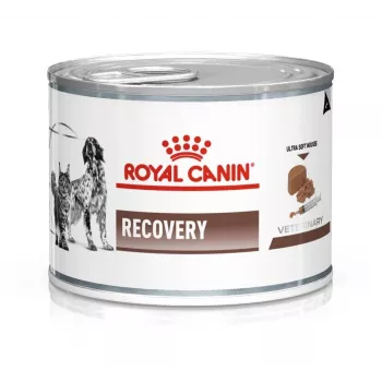 Mokra karma regeneracyjna dla psów Royal Canin Recovery Adult 195 g — drób, 73% wilgotności, 12,7% białka