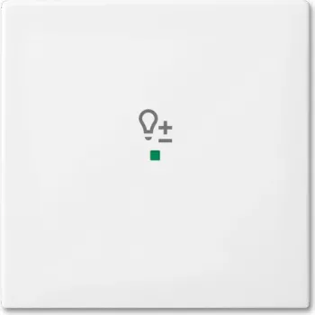 Busch-Jaeger 2CKA006220A0359 Płytka przykrywająca do uchwytu czujnika i gniazda, biała (2CKA006220A0359)