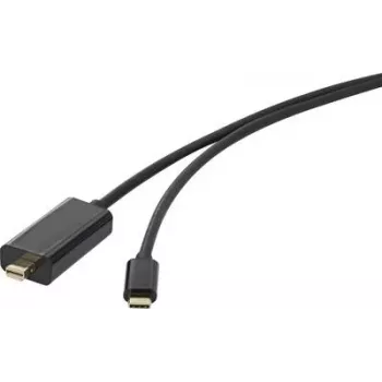 Kabel połączeniowy Renkforce USB / Mini-DisplayPort [1x wtyk USB-C™ – 1x wtyk Mini-DisplayPort] 5 m czarny (RF-3421684)