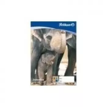 Pelikan Zeichenblock C 2-10, DIN A2, 100 g/m², 10 arkuszy, bielony bez chloru, perforowany (137604)