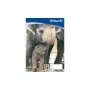 Pelikan Zeichenblock C 2-10, DIN A2, 100 g/m², 10 arkuszy, bielony bez chloru, perforowany (137604)