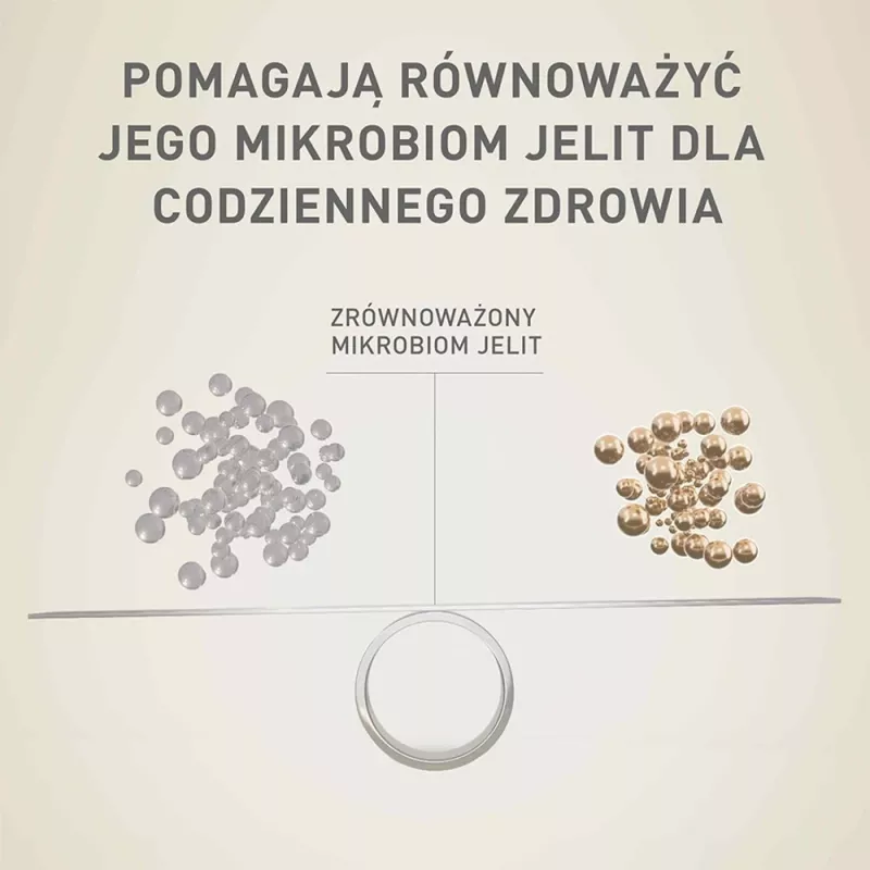 Sucha karma dla psów Purina Nestle Mini Adult Beef & Rice 800 g — sucha karma dla małych dorosłych psów, 27% białka, 17% tłuszczu