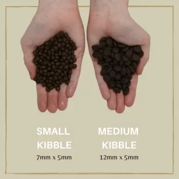EDEN Puppy Cuisine 80/20 Small kibble - sucha karma dla psów - 2 kg