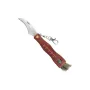 Nóż grzybiarski Speck CC-GC105
