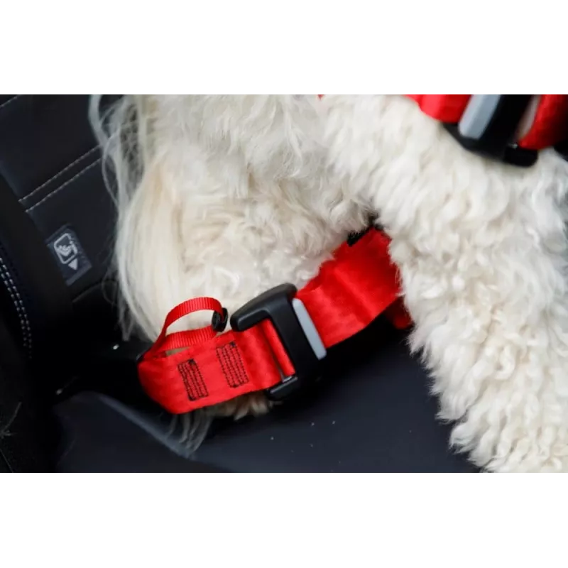 Szelki dla psa ZOLUX TRAVEL SAFE S — rozmiar S, czarne