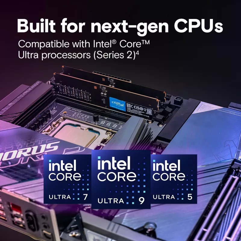 Crucial - DDR5 - Modul - 32 GB - DIMM 288-PIN - 3200 MHz / PC5-51200 CL52 1.1 V taktunabhängig unbuffered on-die ECC Schwarz