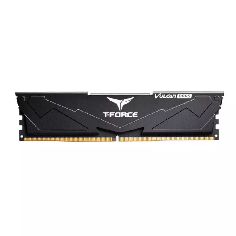 DIMM 32 GB DDR5-6000 (2x 16 GB) Dual-Kit, Arbeitsspeicher schwarz, FLBD532G6000HC38ADC01, Vulcan, AMD EXPO