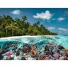 Puzzle Ein Dive in the Maldives (2000 elementów)