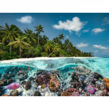 Puzzle Ein Dive in the Maldives (2000 elementów)