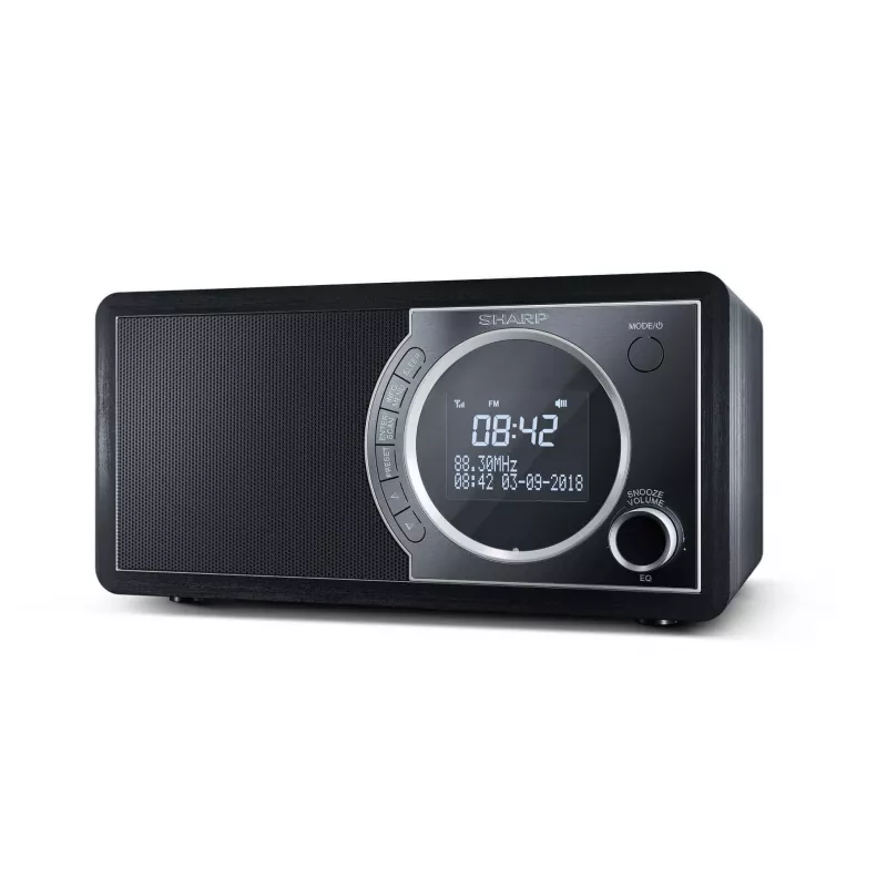 Sharp DR-450 Radio cyfrowe - czarny, osobiste, cyfrowe, DAB, DAB+, FM, 87,5 - 108 MHz, 174,928 - 239,2 MHz, 3 W