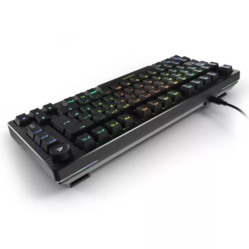 Sharkoon SGK25 Klawiatura Dom USB QWERTZ Niemiecki Czarny 75% RGB LED