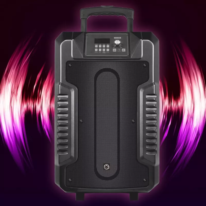Głośniki Manta SPK1203B100 100W