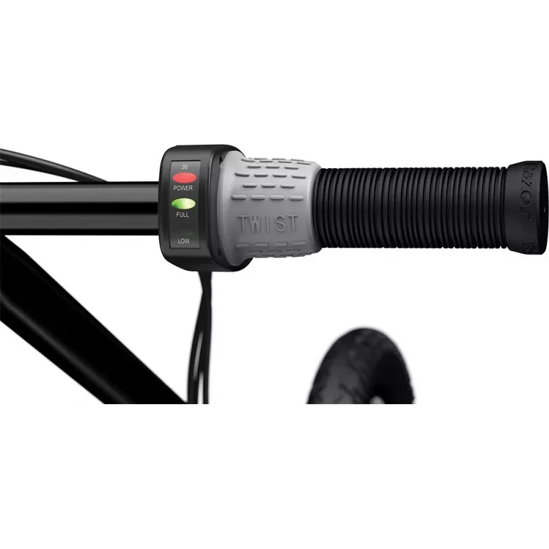 Hulajnoga elektryczna Razor Ecosmart SUP