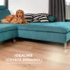 Szczotka Vileda Always Clean PET PRO