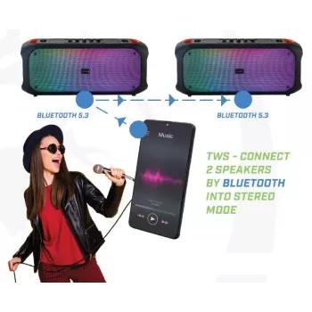 Głośnik Bluetooth SoundVox 650, 10W