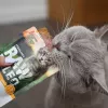 RAW PALEO Adult Cat Sterilised Turkey - mokra karma dla kota - 100 g