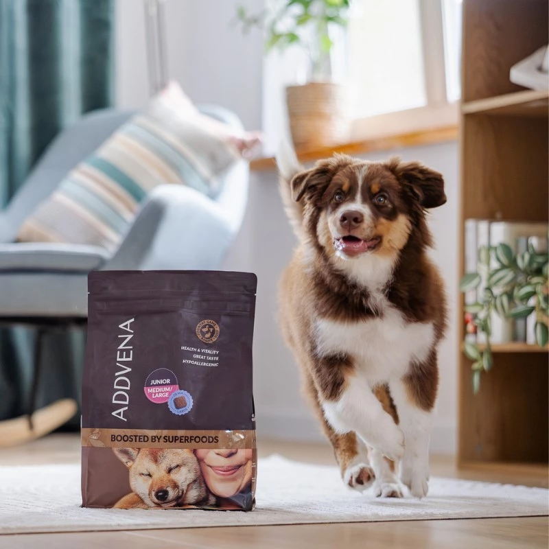 ADDVENA Boosted by superfoods Junior Medium/Large Beef - sucha karma dla psów - 10kg