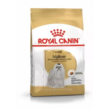 Sucha karma dla psa Royal Canin Maltese Adult 1.5 kg — kurczak, 24% białka, 18% tłuszczu