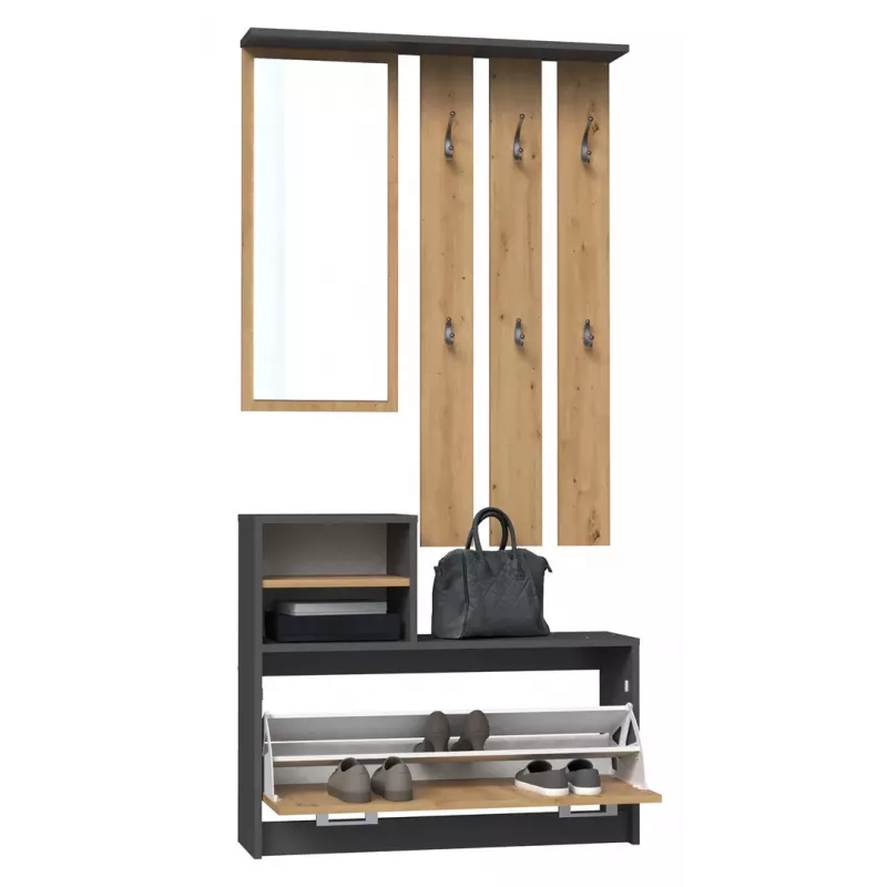 Szafka w przedpokoju top e shop GAR ANT/ART z 1 drzwiami uchylnymi, 850×240×1600 mm