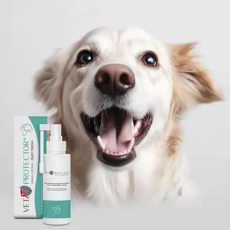 Płyn do pielęgnacji jamy ustnej JM Sante Vet Protector Fresh 100 ml dla psów i kotów, zapobieganie kamieniowi nazębnemu