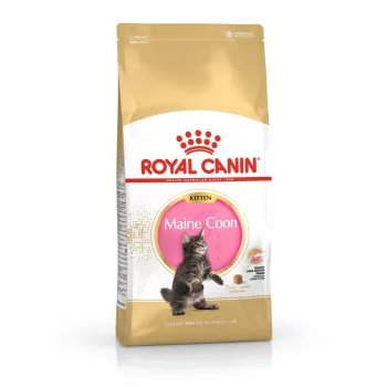ROYAL CANIN Maine Coon Kitten - sucha karma dla kotów - 4 kg