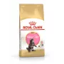 ROYAL CANIN Maine Coon Kitten - sucha karma dla kotów - 4 kg