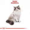 Royal Canin FBN Ragdoll Adult sucha karma dla kotów, 2 kg