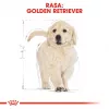 Royal Canin Golden Retriever Puppy sucha karma dla psów, 12 kg