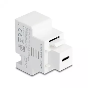 Moduł Keystone DELOCK z gniazdem ładowania USB‑C PD 20 W, biały
