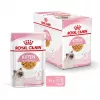 Mokra karma dla kota Royal Canin Kitten Gravy 85 g — drób, 78% wilgotności, 12% białka