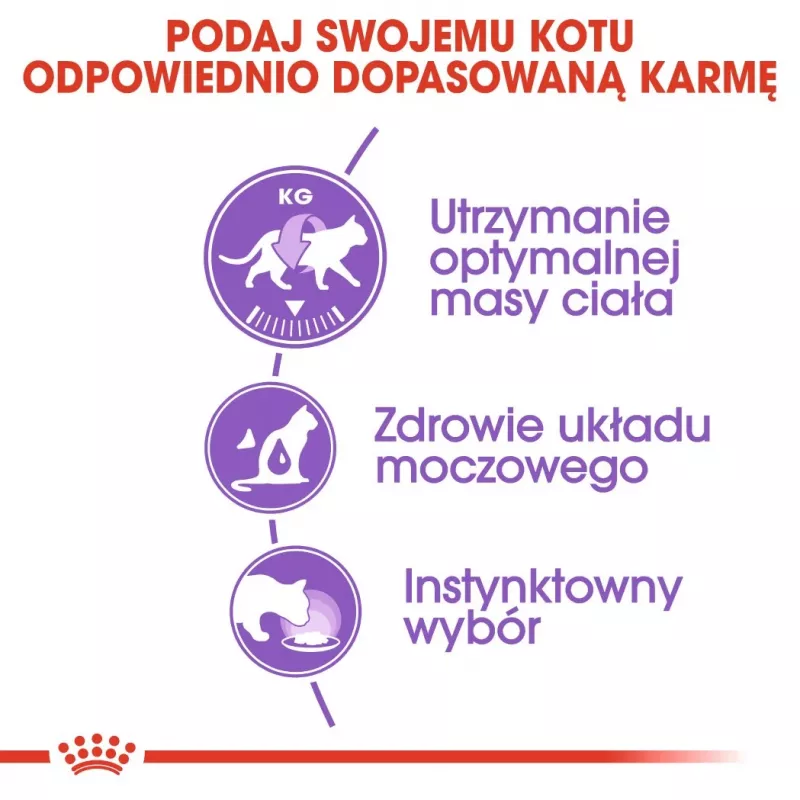 ROYAL CANIN FHN Sterilised w sosie - mokra karma dla kota - 12x85g