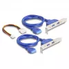 DeLOCK 61066 Wewnętrzny adapter USB 3.2 Gen 1 M.2 Męski Czarny