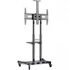 HAGOR HP Twin Stand HD - Wózek - do płaskich ekranów / sprzętu AV - Czarny - Przekątna ekranu: 140-213 cm (55-84) - Interfejs montażowy: do 800 x 500 mm (8210)