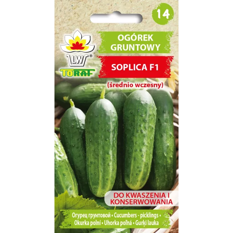 Nasiona ogórka Soplica F1 Toraf, opakowanie 5 g nasion warzyw