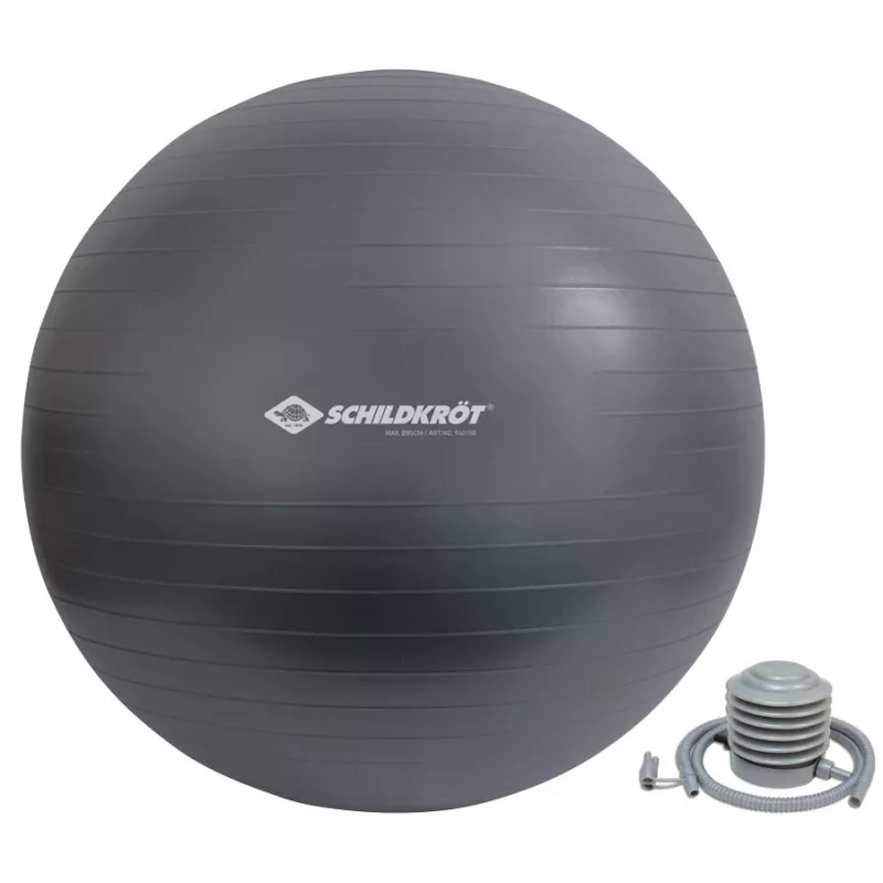 Schildkröt Fitness 960158 piłka do ćwiczeń 85 cm Szary Pełnowymiarowa