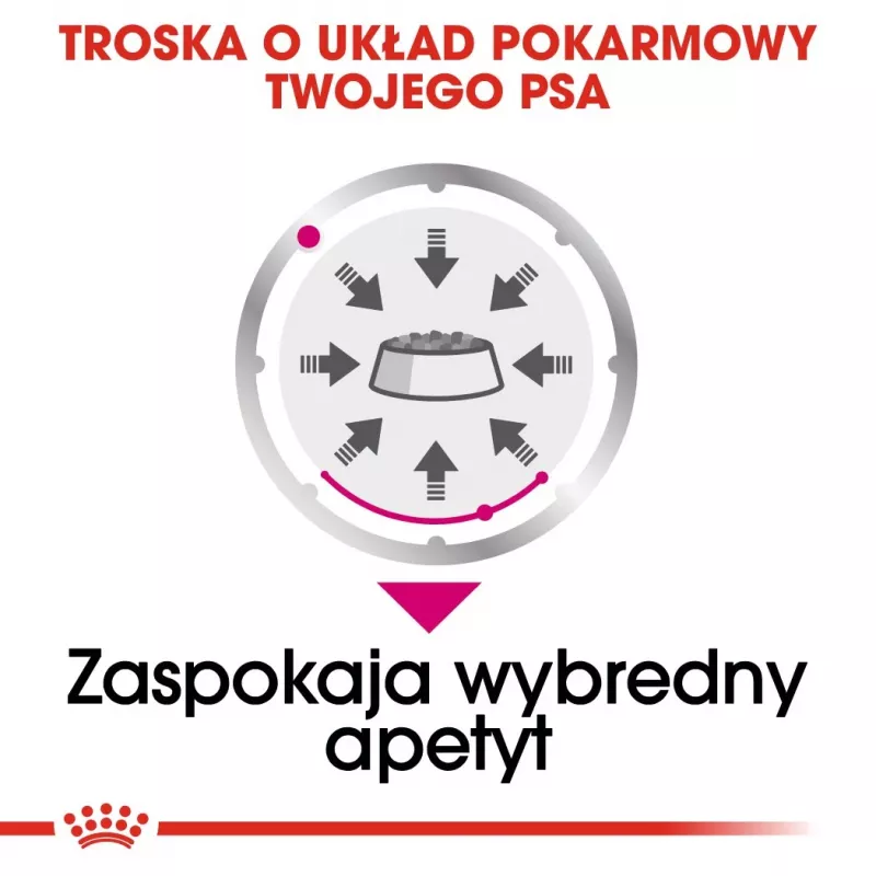 Mokra karma dla psów Royal Canin Exigent Meat Universal 12×85 g — Drób, Dla dorosłych, Dla wybrednych psów