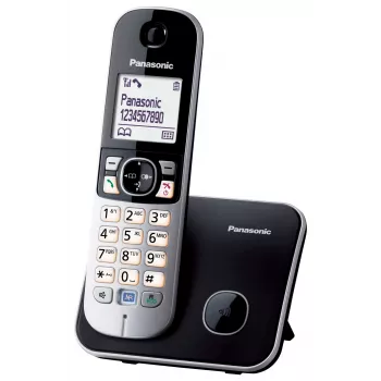 DECT telephone Panasonic KX-TG6811GB